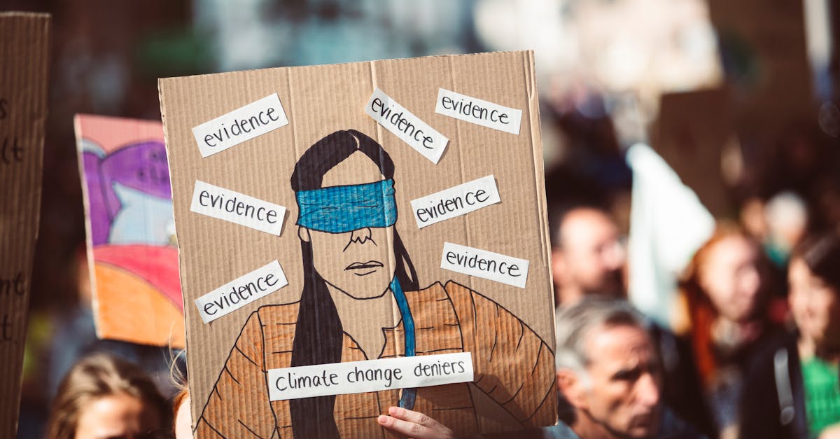 Silvicultorii protestează împotriva reorganizării Romsilva