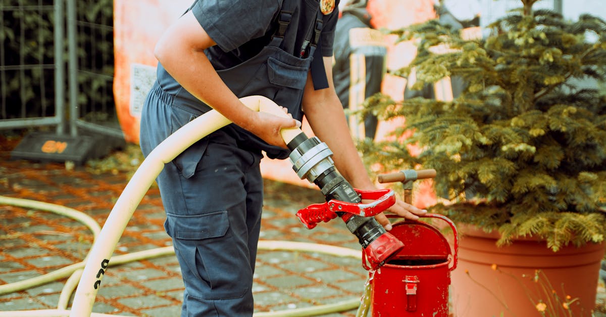 Tineri din România și Moldova se pregătesc pentru situații de urgență în Coaș