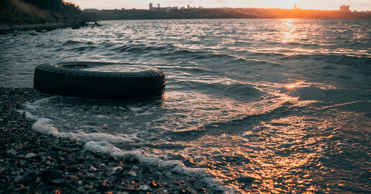 Descoperiri surprinzătoare pe faleza Săsarului din Baia Mare
