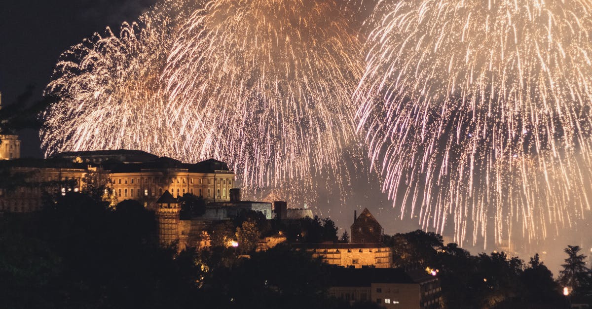 Festivalul Enisala 2025: programul artistic revizuit și surprize pentru public