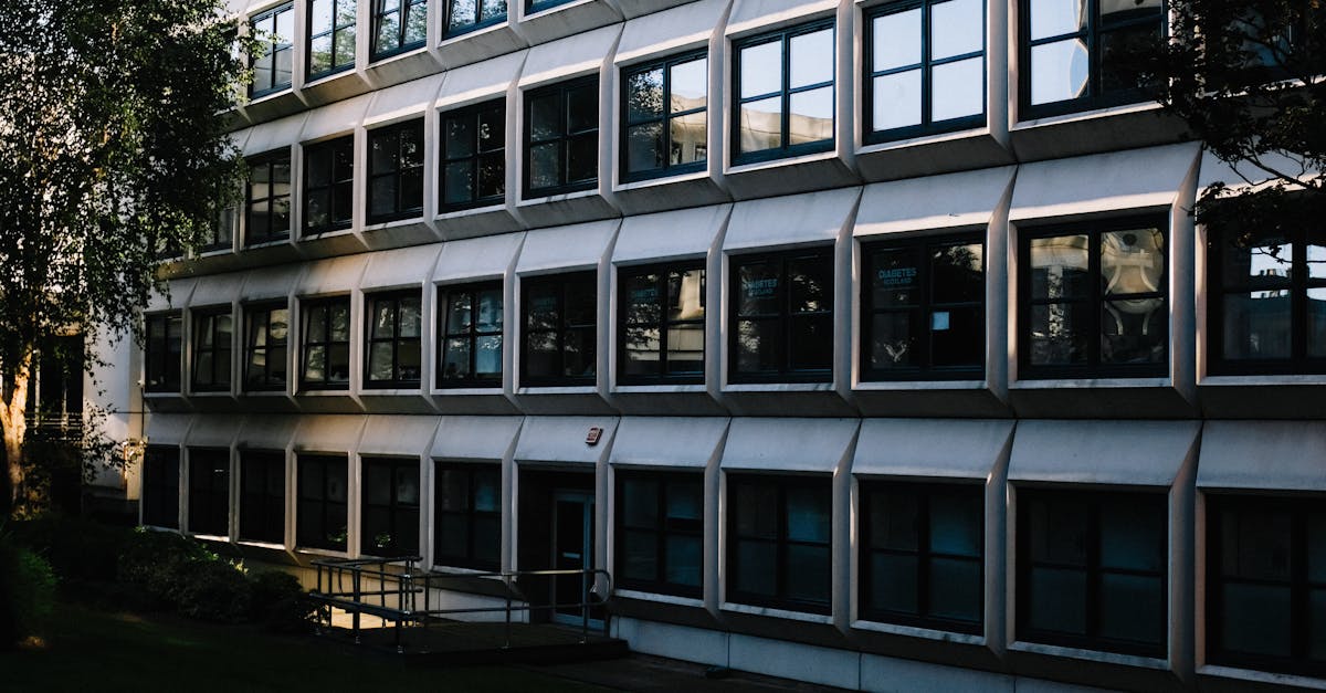 Campusul Oradea: de la inovație în educație la criza funcționalității