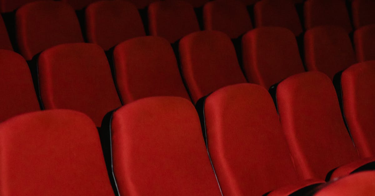 Descoperă magia filmului românesc la Vaslui, între 20 și 22 august