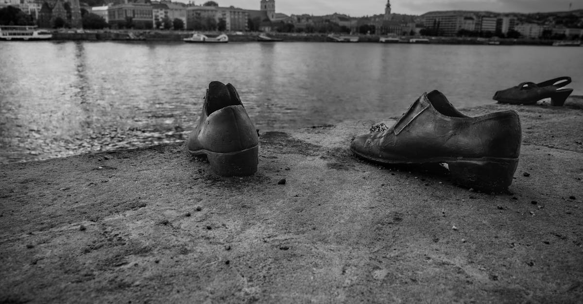 Marin Carmocan, apreciat căpitan fluvial al Dunării, a încetat din viață