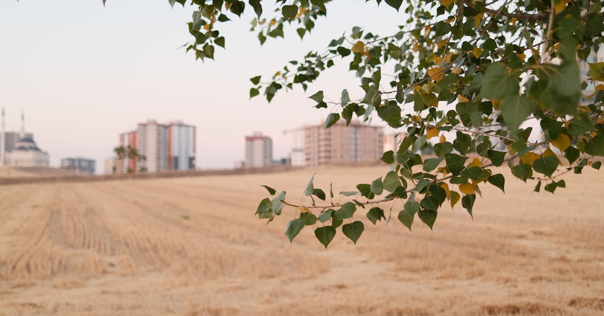 Un nou complex rezidențial promite să transforme Piteștiul