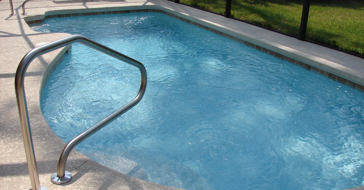 Familia din Florida, invadată de ratoni: petreceri nocturne în piscină