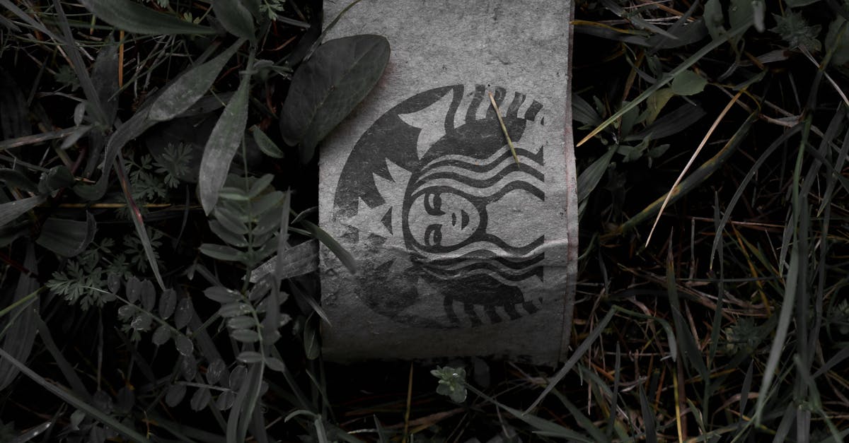 Bâlciul de Sfântă Maria la Giurgiu: Bilanț dezolant de deșeuri