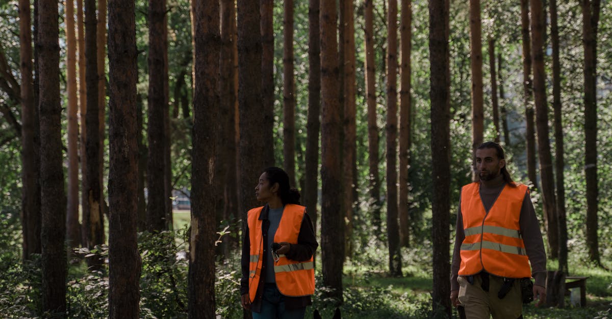 Câine salvat de pompieri dintr-un canal abandonat din Iași