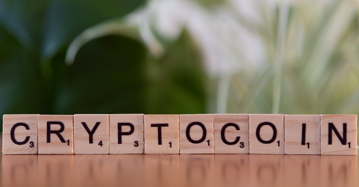 Toshi.bet: liderul cazinourilor cripto fără KYC în 2025