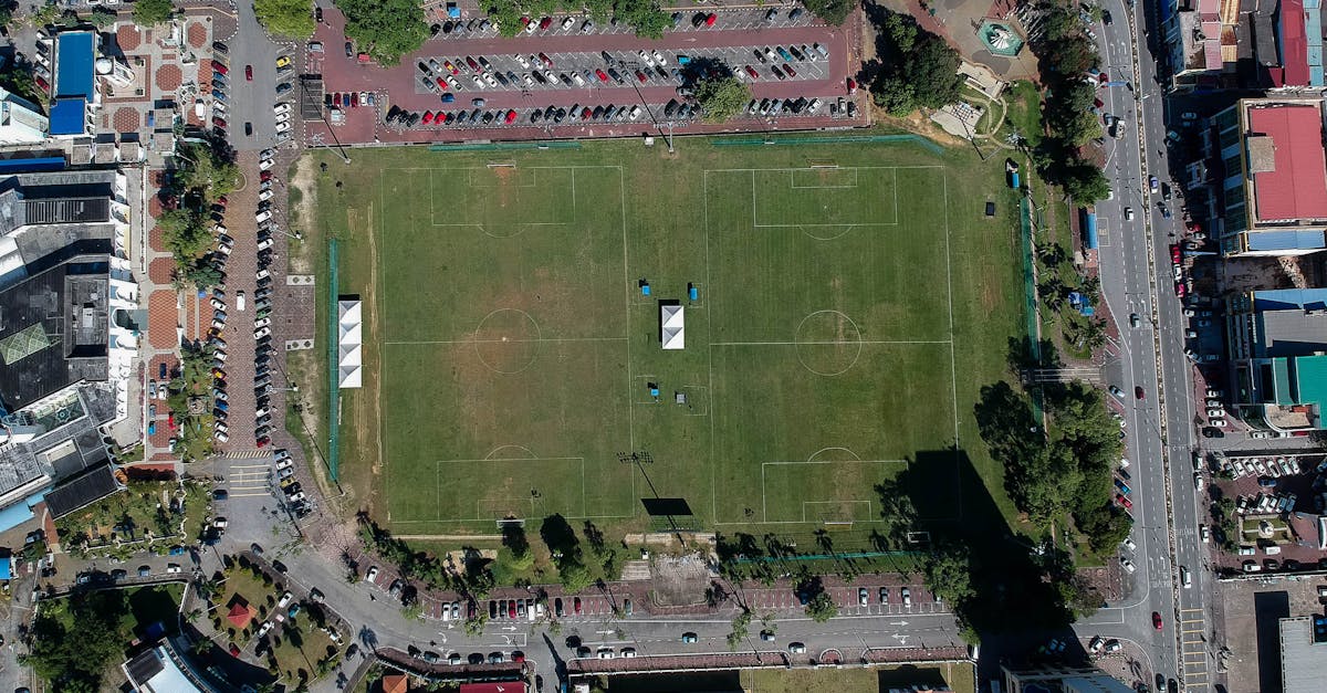 Seini dă startul unui nou parc de 3 hectare, finanțat din fonduri europene