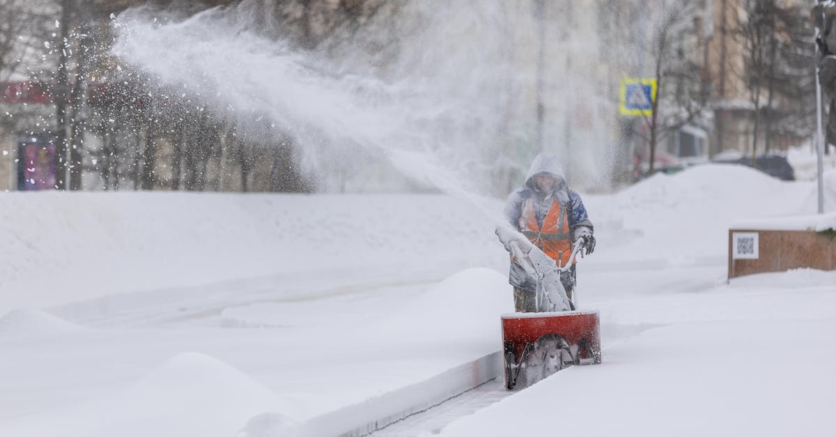 Închidere temporară a circulației pe strada Tache Ionescu pentru lucrări de toaletare a copacilor