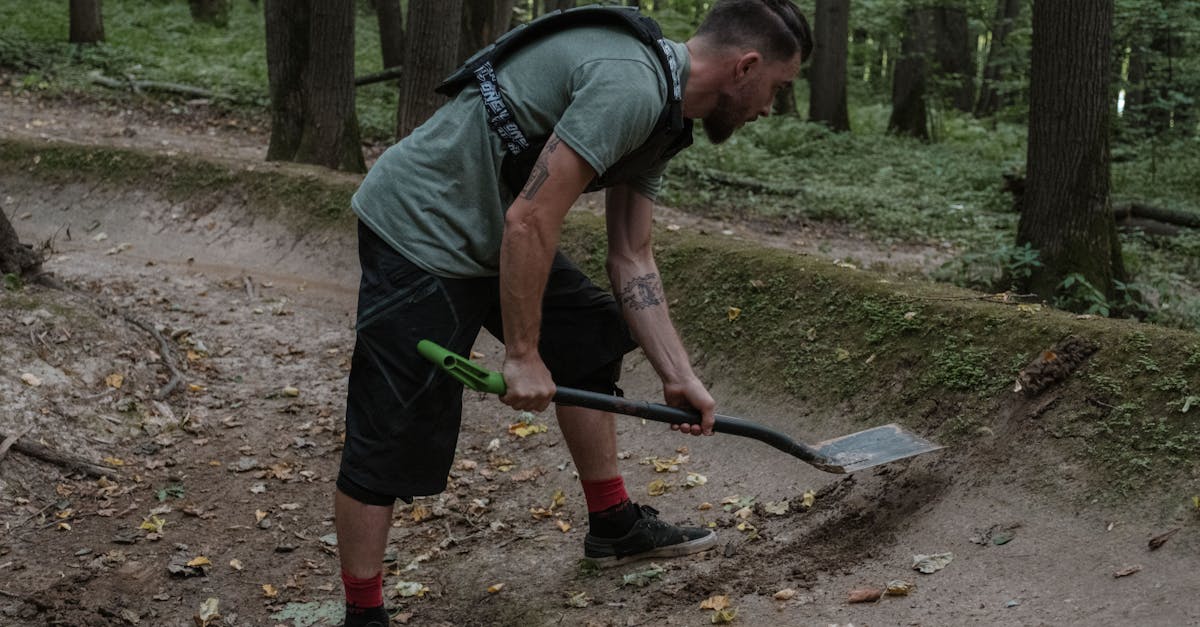 Decizie importantă pentru reabilitarea drumului forestier Tîncavava