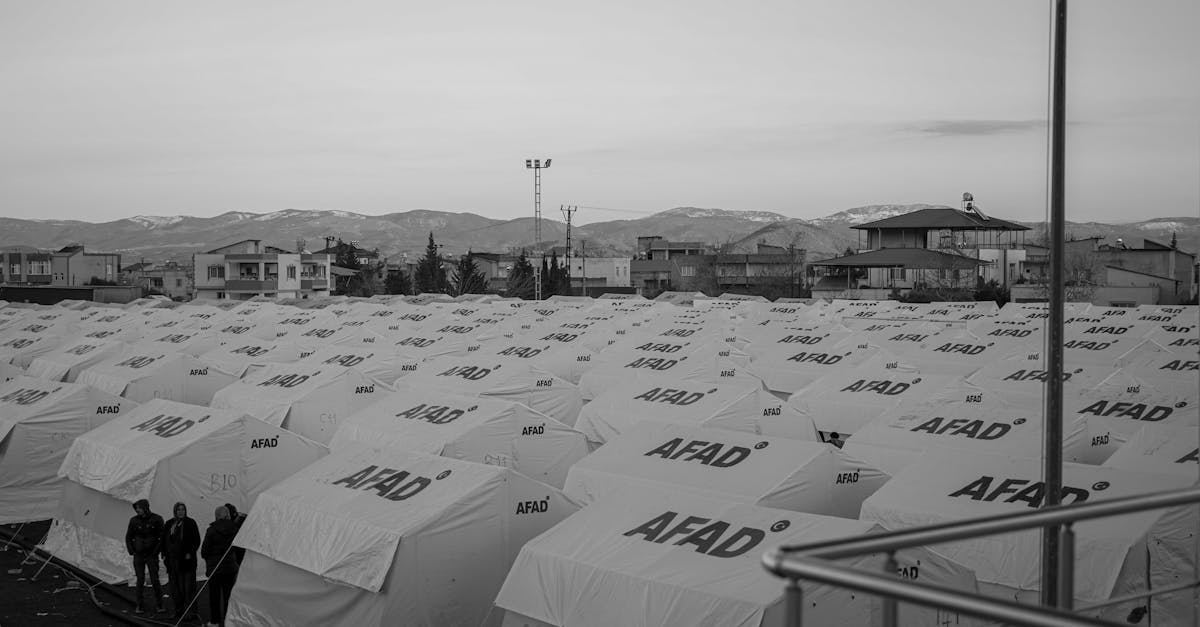 Aproape 5.000 de cetățeni ucraineni au traversat ilegal frontiera română în 2025