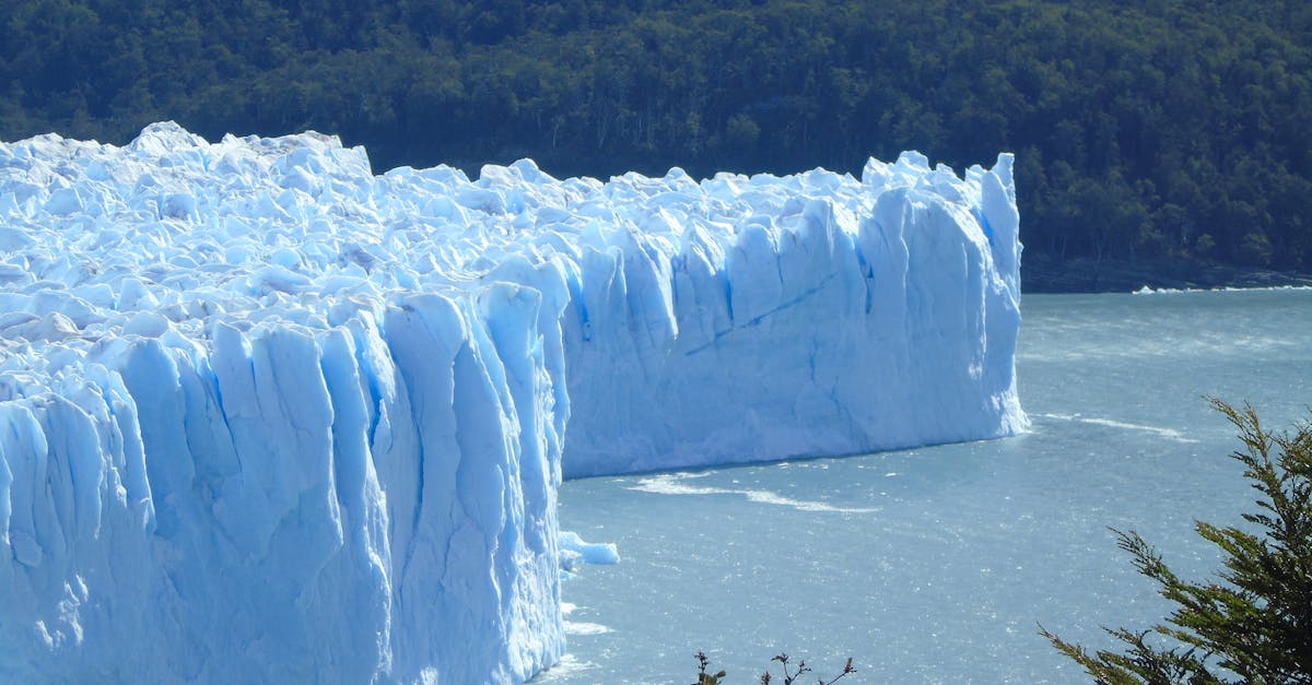 Antarctica: un paradis turistic în pericol din cauza poluării
