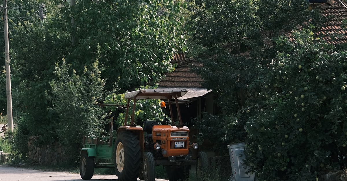 Bistrița lansează un ghișeu energetic unic pentru comunități sustenabile