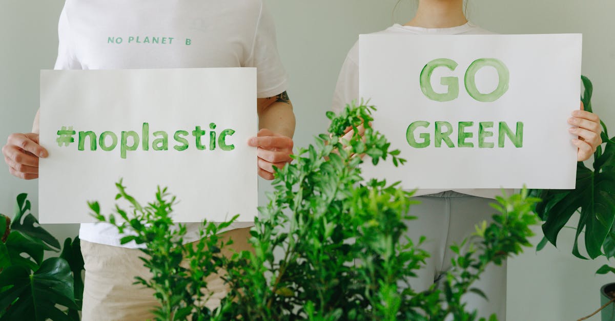 Gorjul ecologizat: cum se schimbă peisajul local