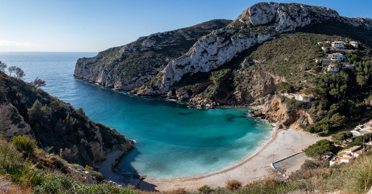 Atenție, turiști! Plajele din Spania închise din cauza unei moluște veninoase