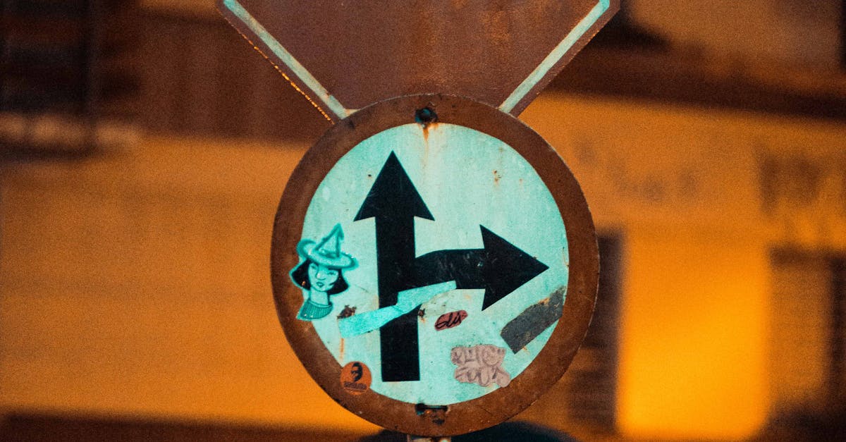 Târgu Mureș pregătește tratamente nocturne împotriva țânțarilor și căpușelor