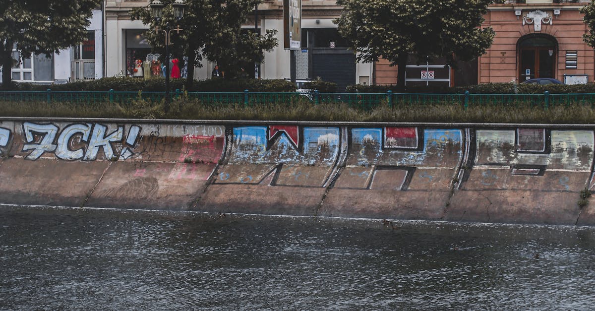 Weekend cu vreme variată în Călărași: de la caniculă la răcoare