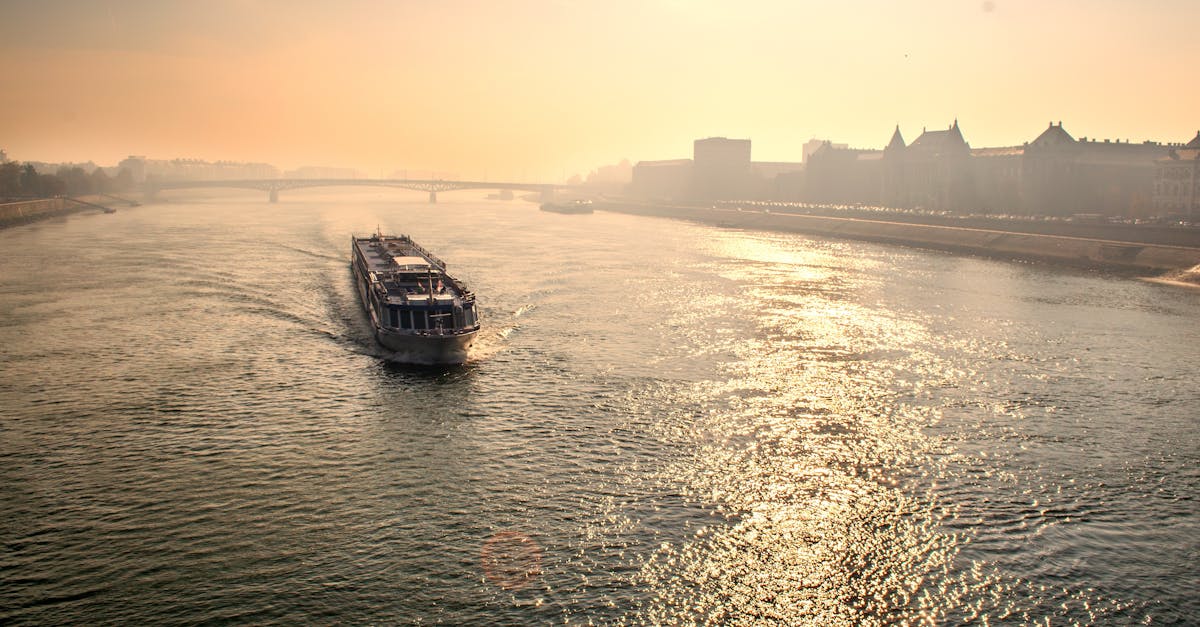 Atenționare de călătorie: suspendarea transportului ferry pe Dunăre către Bulgaria
