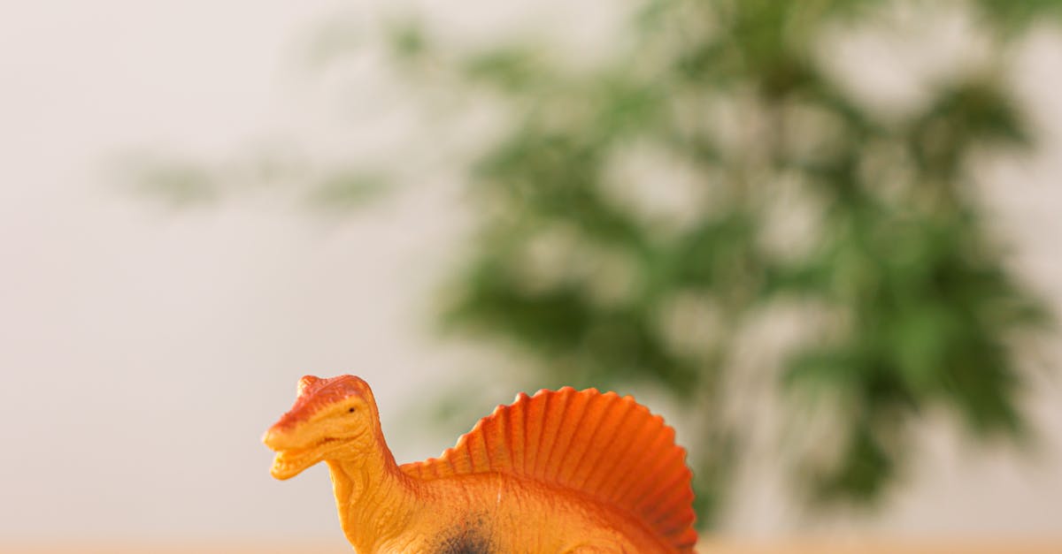 Descoperire spectaculoasă pe Insula Wight: un dinozaur cu velă impresionantă