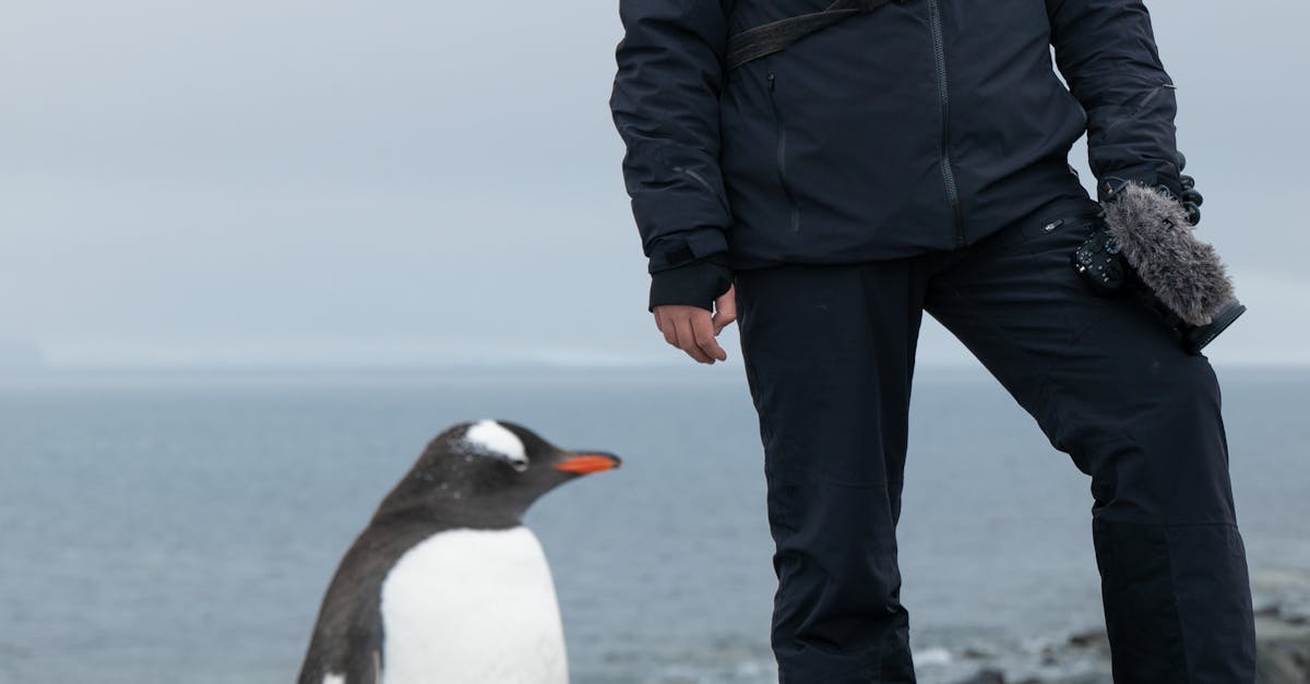 Antarctica: schimbările climatice accelerază criza globală