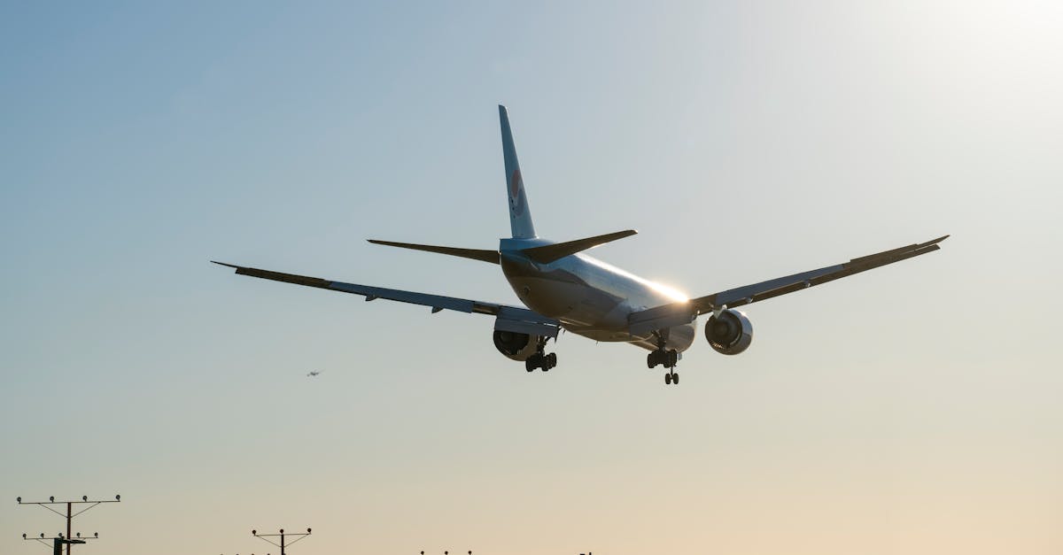 Cătălin Prunariu, fiul cosmonautului, va contribui la dezvoltarea unei companii de aviație de stat