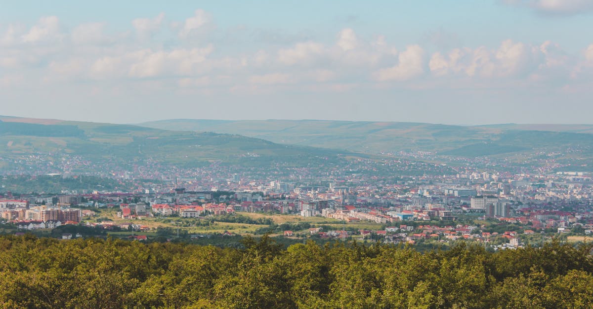 Descoperă luncile pârâului Becaș cu un tur ghidat inedit