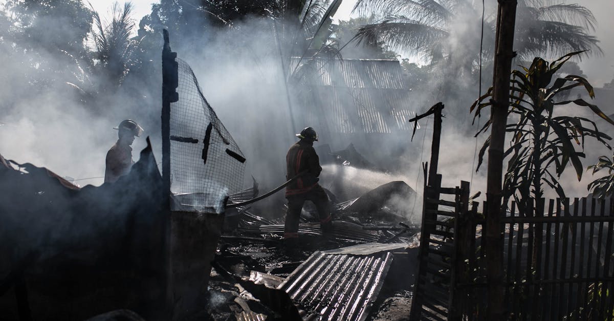 Incendiu devastator în Golești: două gospodării afectate