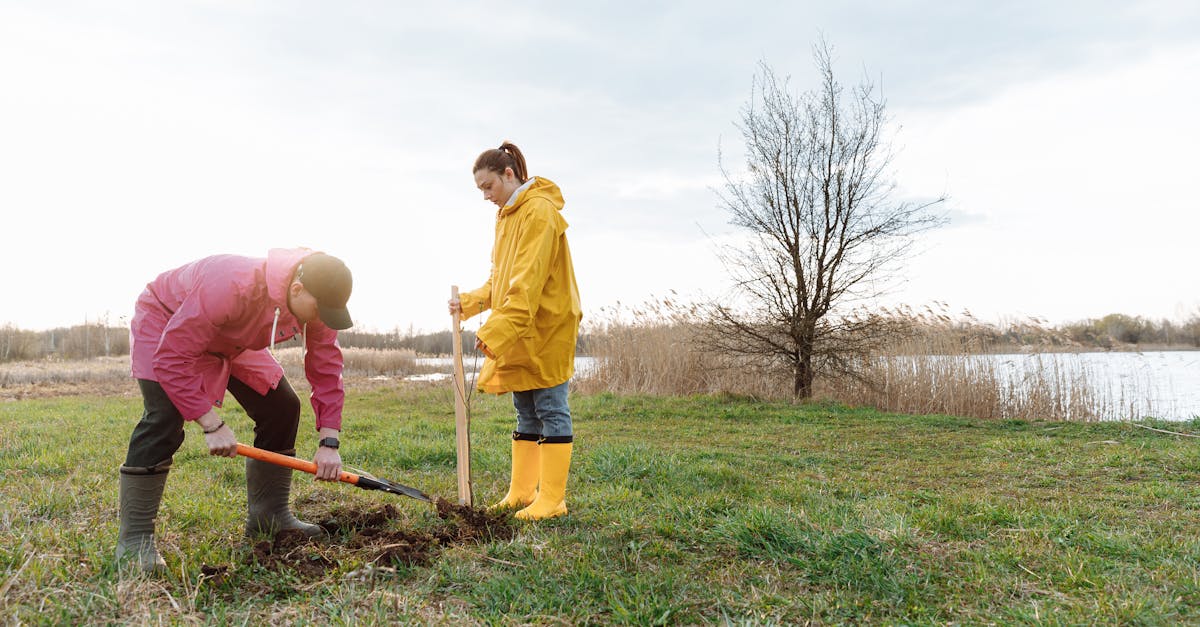 Ecologizarea lacului Izvorul Muntelui: un exemplu de colaborare interinstituțională