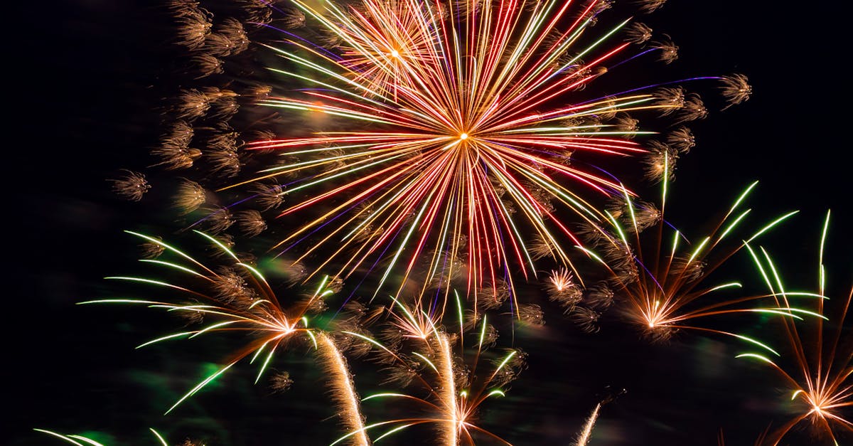 Festivalul Enisala impresionează cu o participare record în prima zi