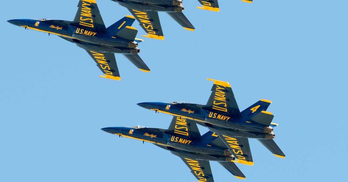 Caransebeș Airshow 2025: un spectacol aviatic de neuitat atrage mii de spectatori