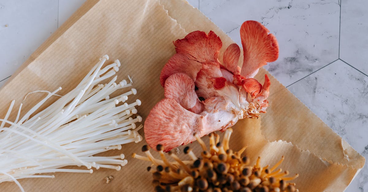 Ciuperci pleurotus: rețete sănătoase și beneficii nutriționale surprinzătoare