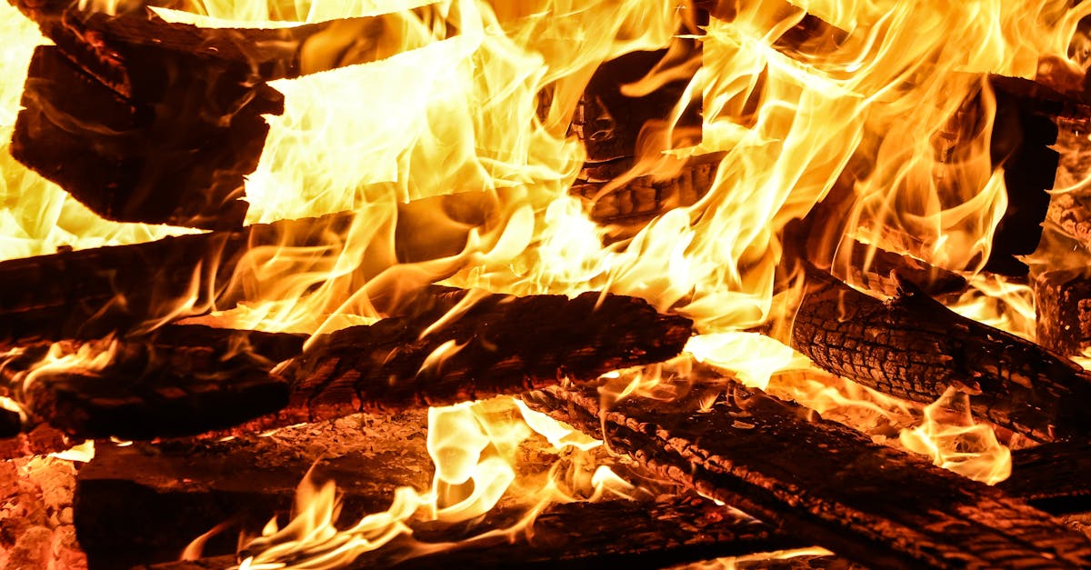 Canicula record din Spania: cele mai extreme temperaturi din istorie