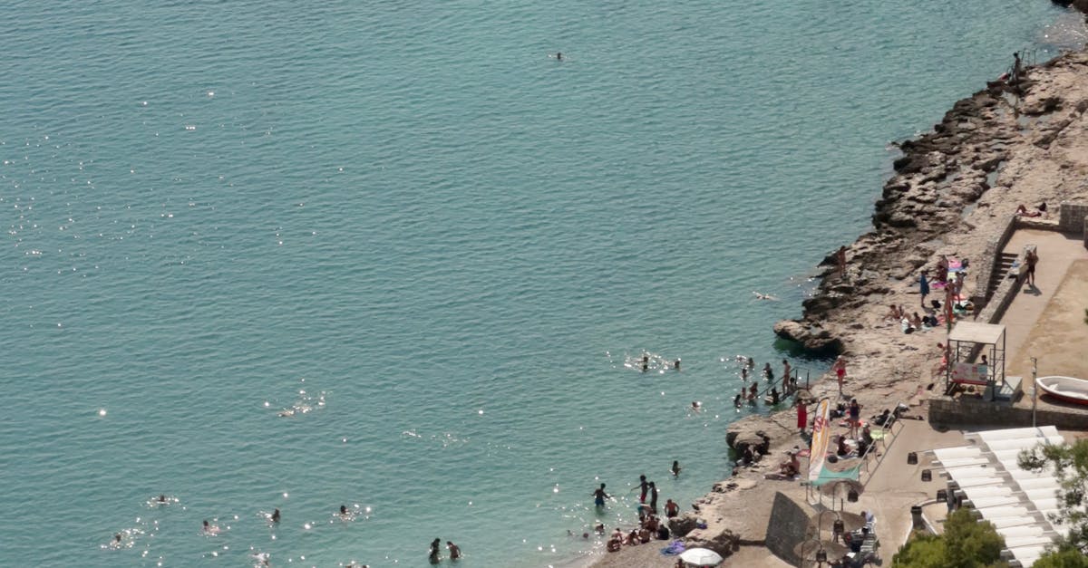 Atenție, turiști! Amenzi mari pentru culegerea scoicilor în Grecia