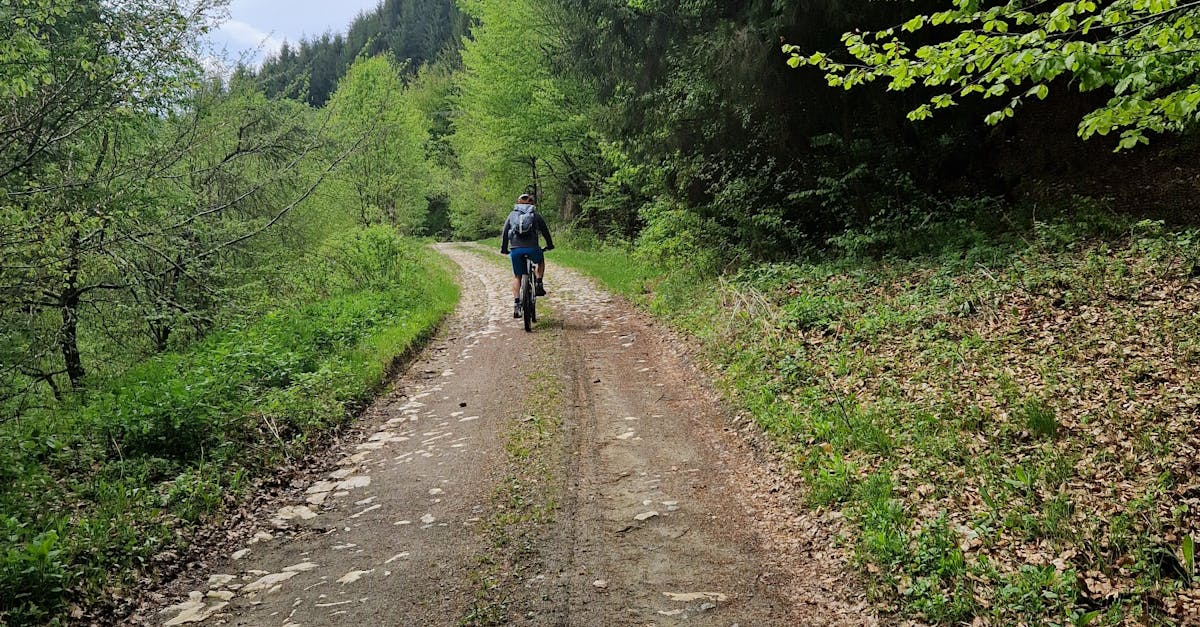 Bihorul se pregătește pentru o revoluție în cicloturism prin noi piste de biciclete