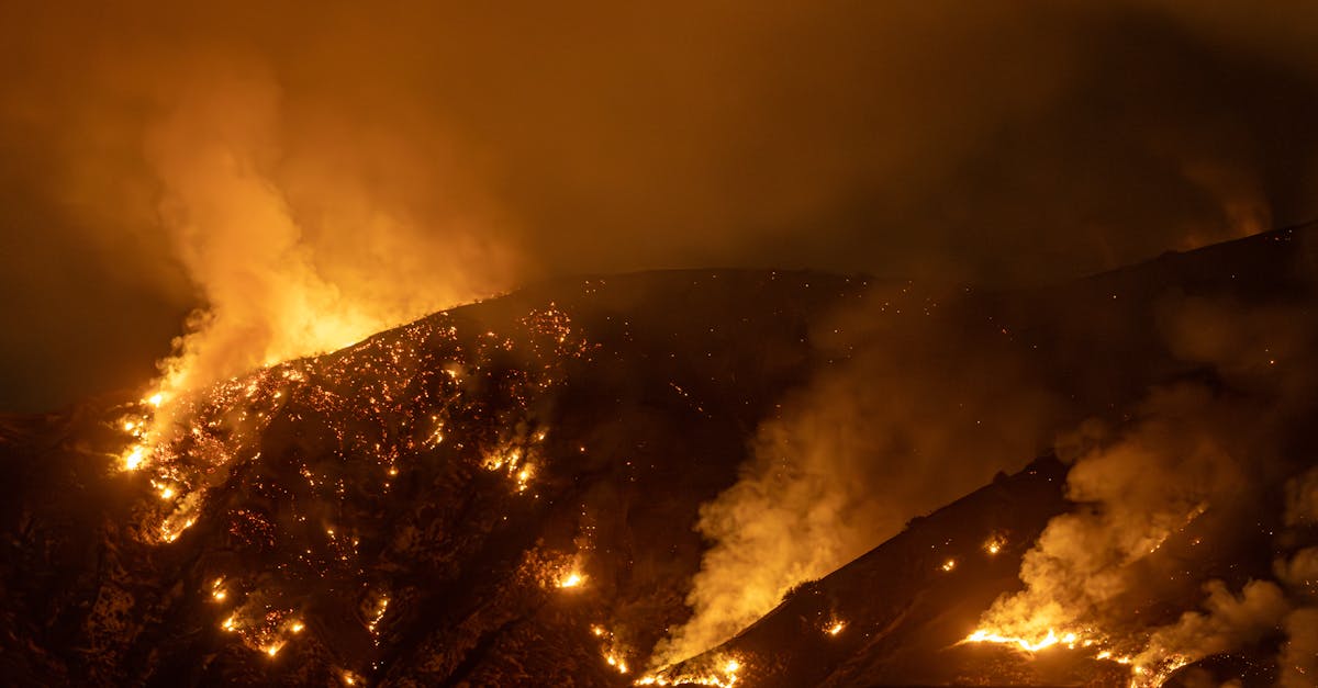 Focul de vegetație din California și Oregon: evacuări masive în fața flăcărilor