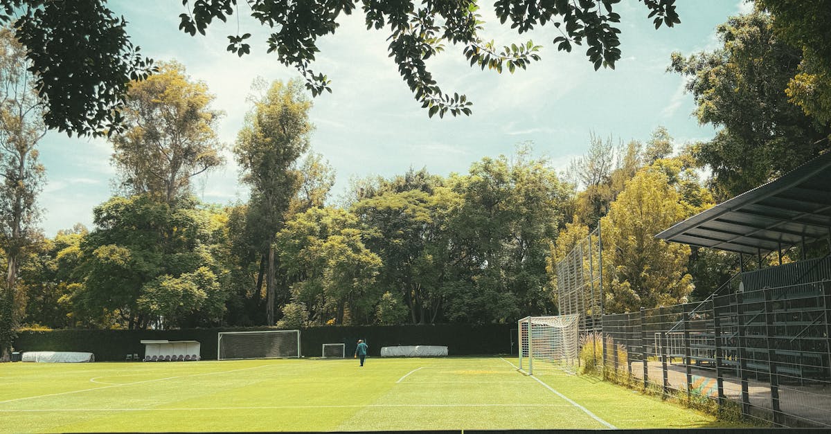 FC Hermannstadt se pregătește pentru un duel crucial cu Farul Constanța