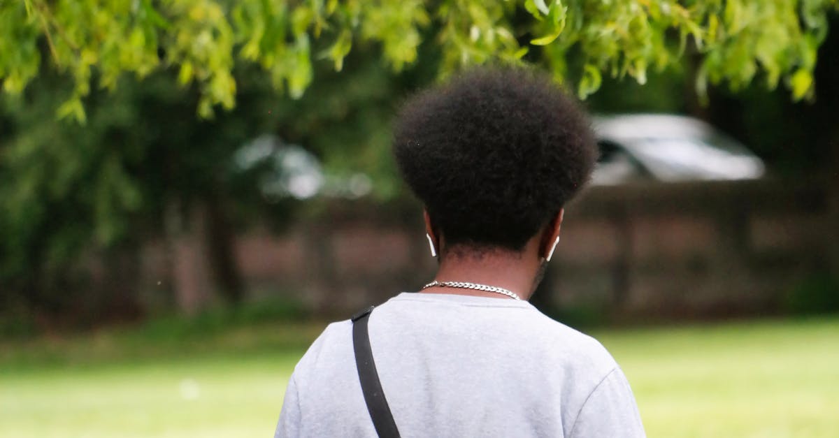 Edilitara clarifică tăierea arborilor din zona Colegiului Tudor Vladimirescu