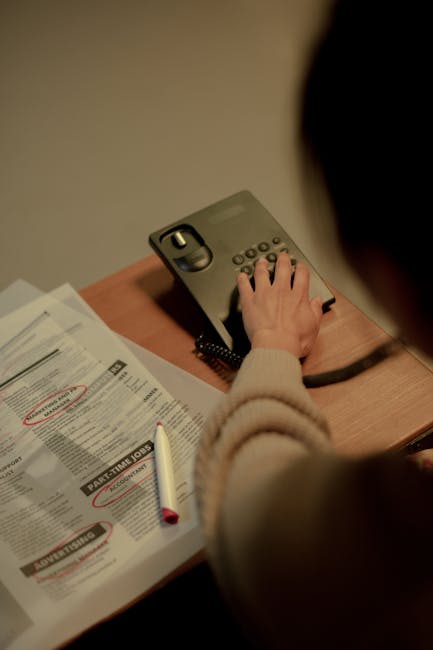 Oportunități de angajare: 175 de locuri de muncă disponibile în Maramureș