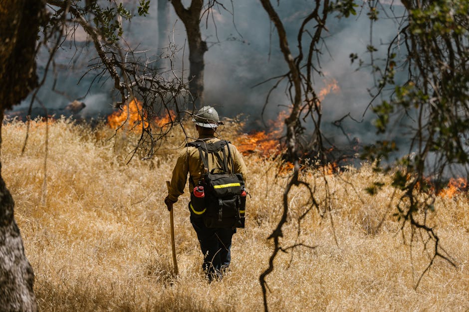 Incendiu devastator în apropierea Bucureștiului: șapte hectare afectate și o casă în flăcări