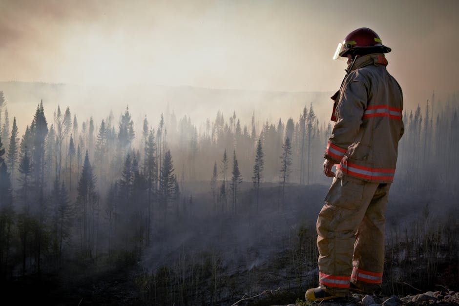 Tornadele de foc: fenomenul alarmant care amenință Europa în timpul incendiilor de vegetație