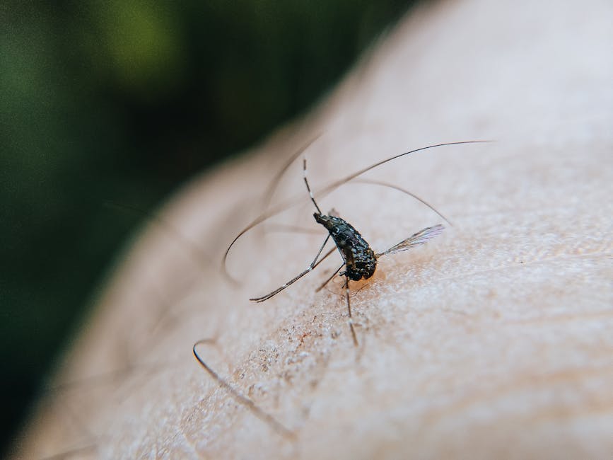 Sezonul virusului West Nile: 117 infecții și 7 decese raportate