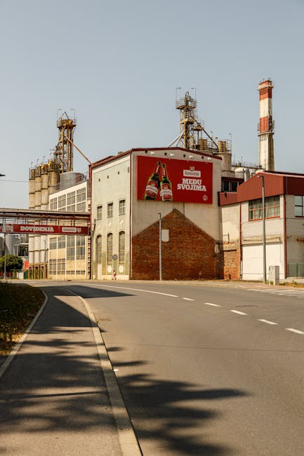 Noua fabrică de ulei din Galați promite dezvoltare economică și locuri de muncă