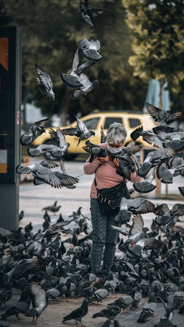 Locuitorii de pe strada Soporului cer un acces sigur la Parcul Gheorgheni
