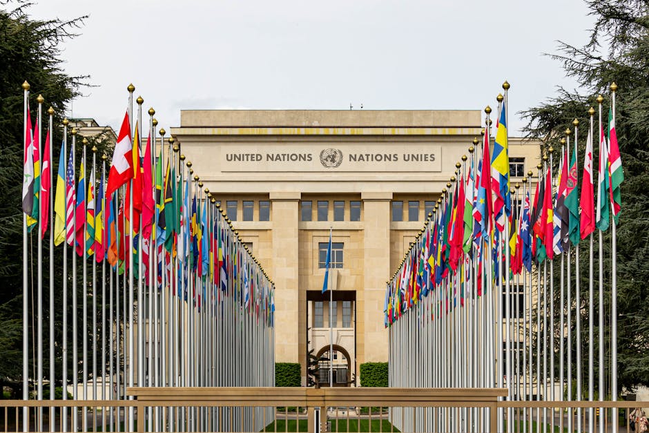 Ahmed al-Sharaa, noul președinte sirian, va vorbi la ONU pentru prima dată în 56 de ani