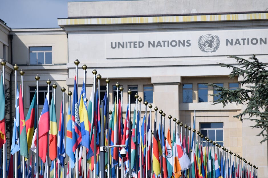 Nicușor Dan, la ONU: discurs și candidatură pentru Francofonie