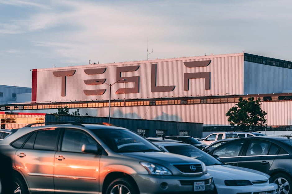 Nouă autorizație de mediu solicitată de Verde Electric Corporation
