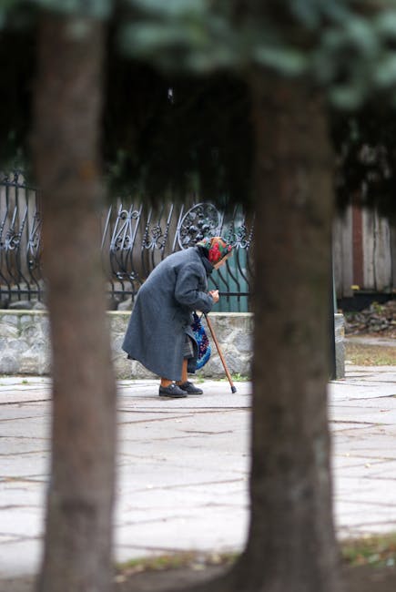 Zelenski mulțumește României pentru sprijinul acordat de Ziua Independenței