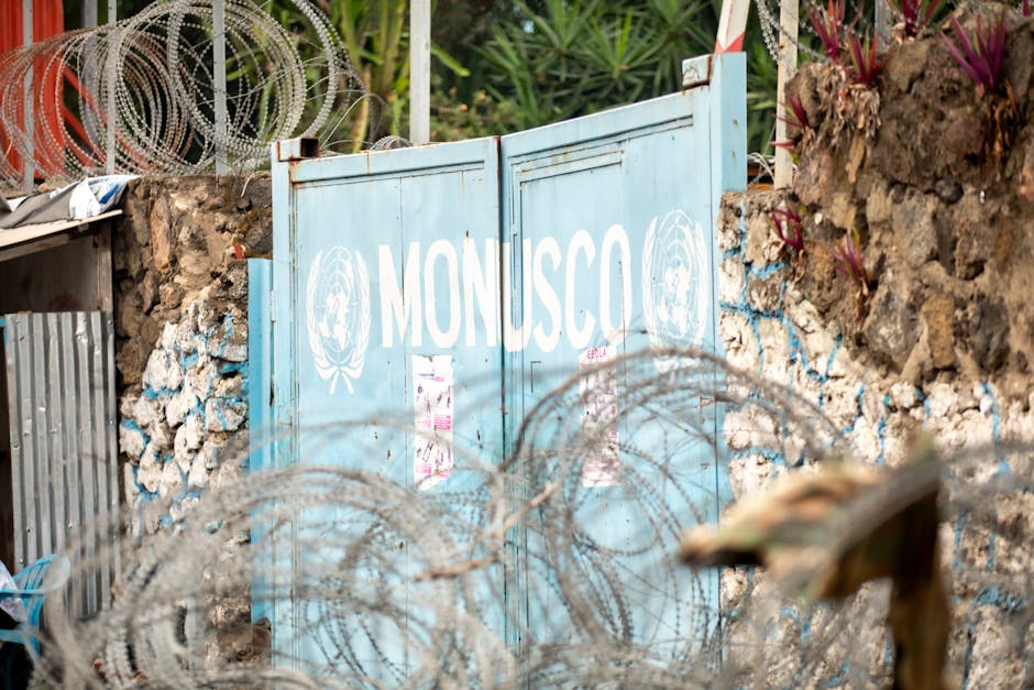 Discurs important al președintelui Nicușor Dan la ONU: provocările de securitate pentru România