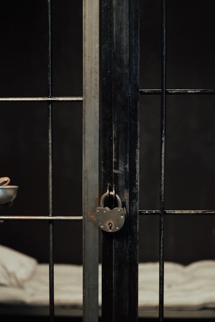 După două decenii de detenție, un bărbat este pe cale să fie eliberat pentru furtul unui telefon mobil
